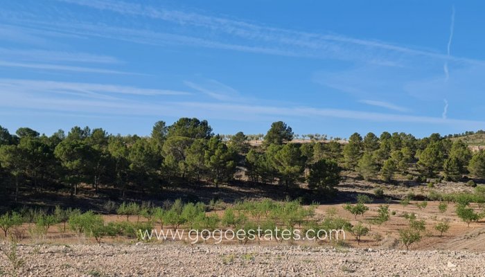 Te koop - Perceel - Land - Yecla - Raspay