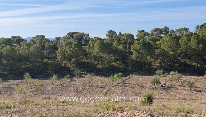 Te koop - Perceel - Land - Yecla - Raspay