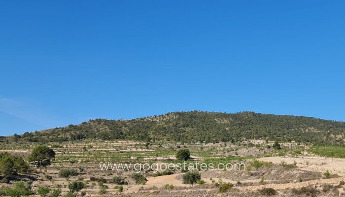 Te koop - Perceel - Land - Yecla - Raspay