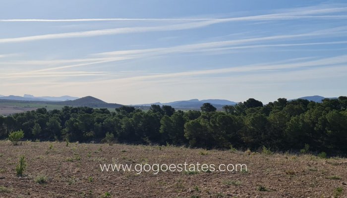 Te koop - Perceel - Land - Yecla - Raspay