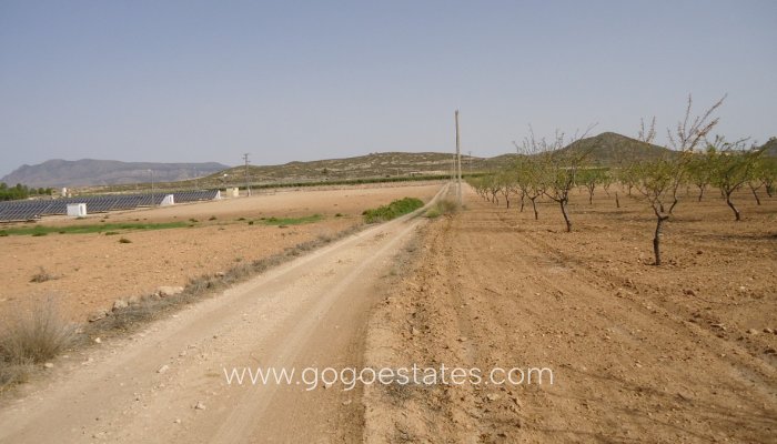 Te koop - Perceel - Land - Jumilla - Cañada del Trigo