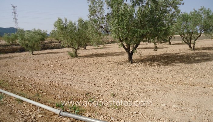 Te koop - Perceel - Land - Jumilla - Cañada del Trigo