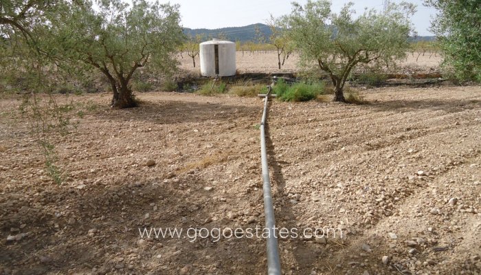 Te koop - Perceel - Land - Jumilla - Cañada del Trigo
