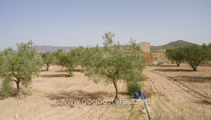 Te koop - Perceel - Land - Jumilla - Cañada del Trigo
