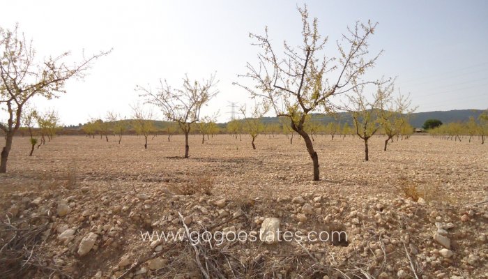 Te koop - Perceel - Land - Jumilla - Cañada del Trigo