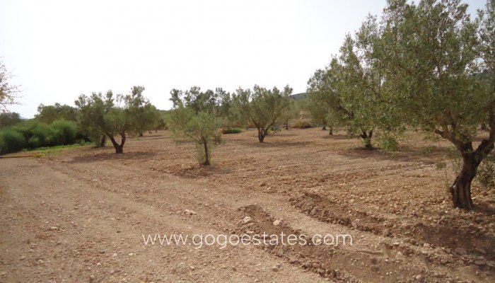 Te koop - Perceel - Land - Jumilla - Cañada del Trigo