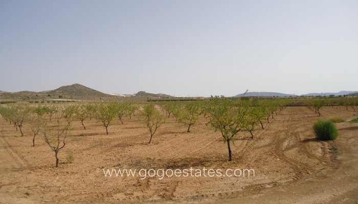 Te koop - Perceel - Land - Jumilla - Cañada del Trigo