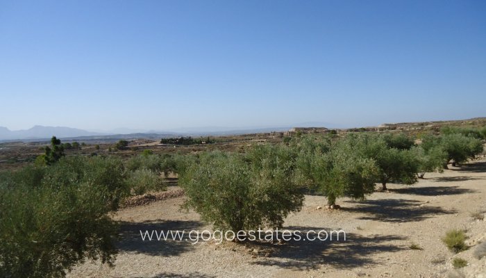 Revente - Terrain - Terrain - Murcia - Abanilla Centro