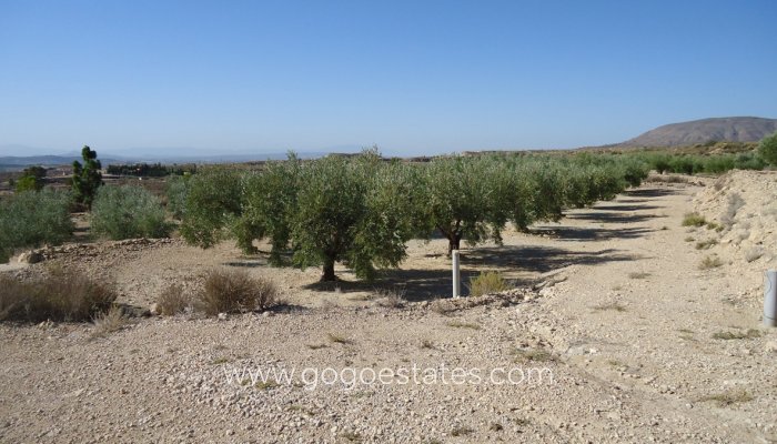 Revente - Terrain - Terrain - Murcia - Abanilla Centro