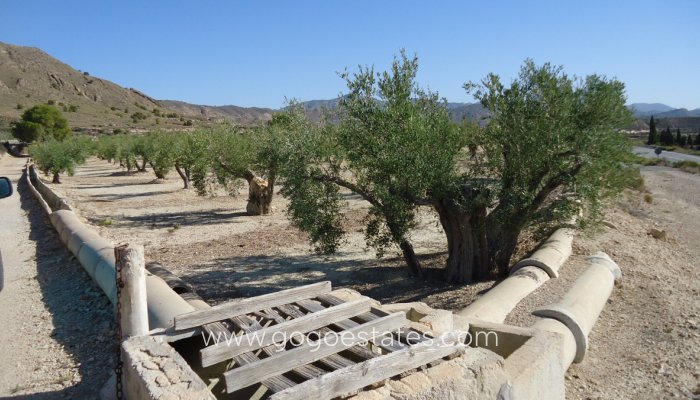 Revente - Terrain - Terrain - Murcia - Abanilla Centro