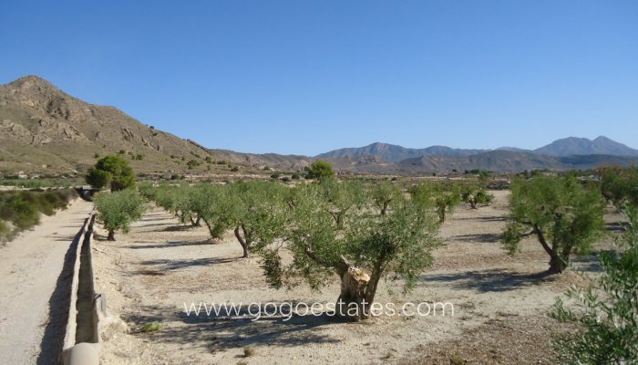 Revente - Terrain - Terrain - Murcia - Abanilla Centro