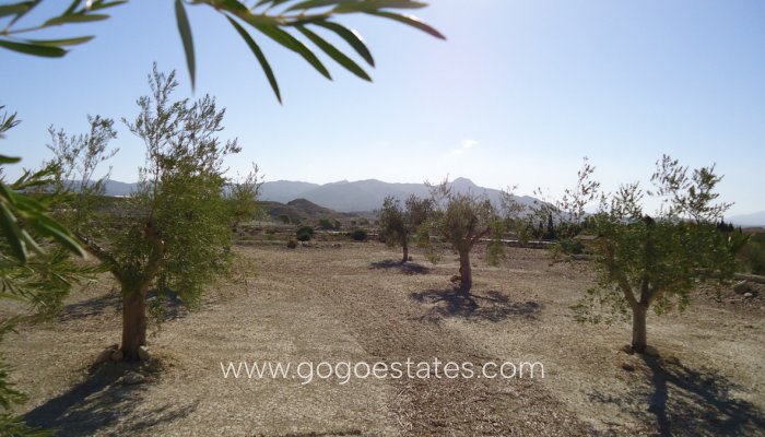 Revente - Terrain - Terrain - Murcia - Abanilla Centro