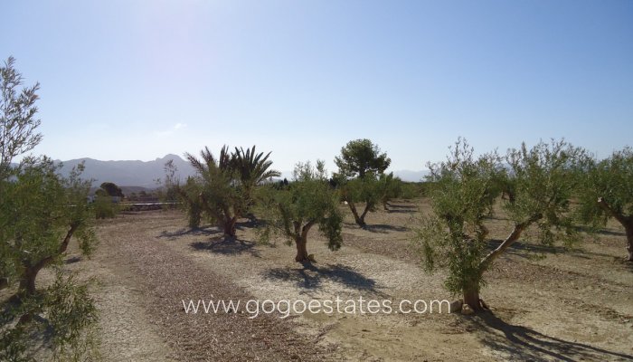 Revente - Terrain - Terrain - Murcia - Abanilla Centro