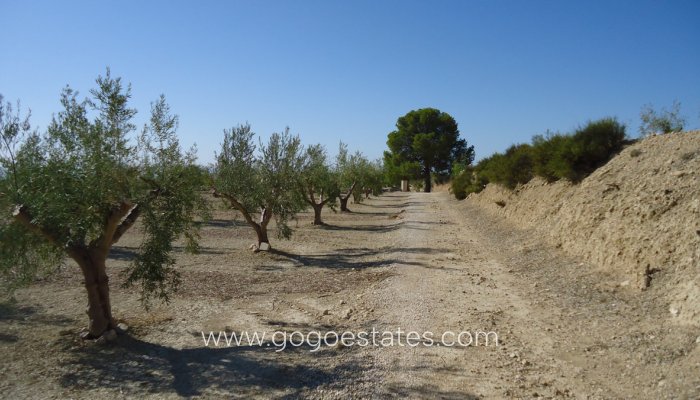 Revente - Terrain - Terrain - Murcia - Abanilla Centro