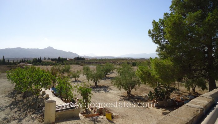 Revente - Terrain - Terrain - Murcia - Abanilla Centro