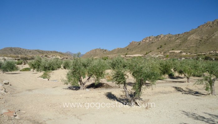 Revente - Terrain - Terrain - Murcia - Abanilla Centro