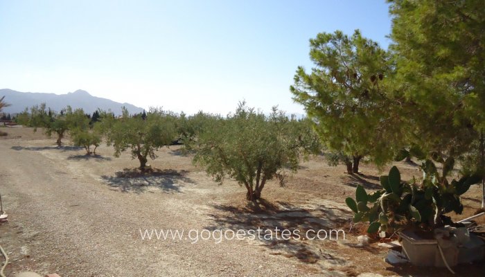 Revente - Terrain - Terrain - Murcia - Abanilla Centro