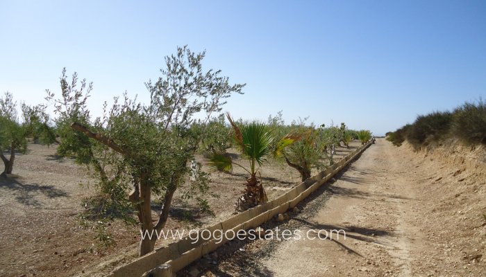 Revente - Terrain - Terrain - Murcia - Abanilla Centro