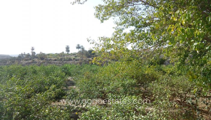 Te koop - Huis - Vrijstaande Villa - Murcia - Abanilla Centro