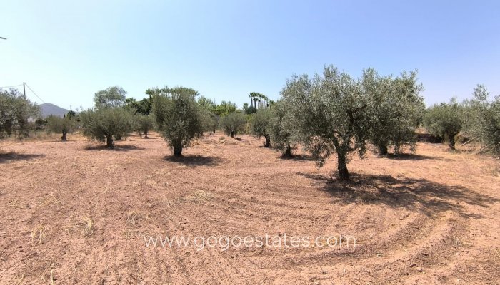 Te koop - Huis - Vrijstaande Villa - Jumilla - Jumilla Centro