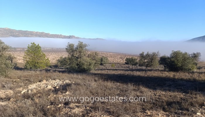 Te koop - Perceel - Land - Yecla - Yecla Centro