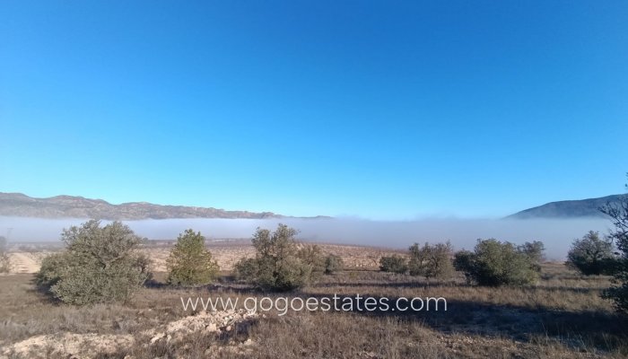 Te koop - Perceel - Land - Yecla - Yecla Centro