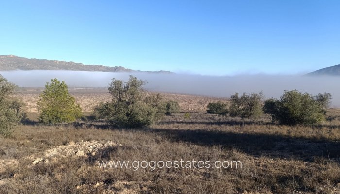 Te koop - Perceel - Land - Yecla - Yecla Centro