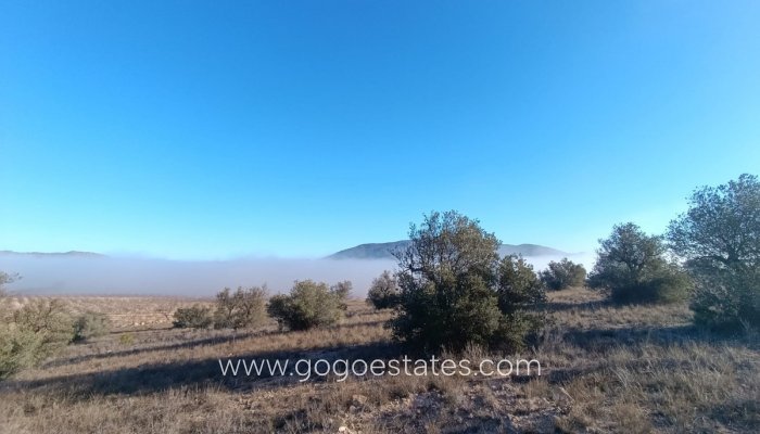 Te koop - Perceel - Land - Yecla - Yecla Centro