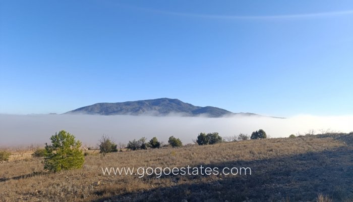 Te koop - Perceel - Land - Yecla - Yecla Centro