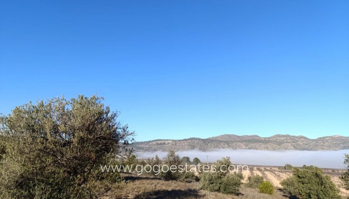 Te koop - Perceel - Land - Yecla - Yecla Centro