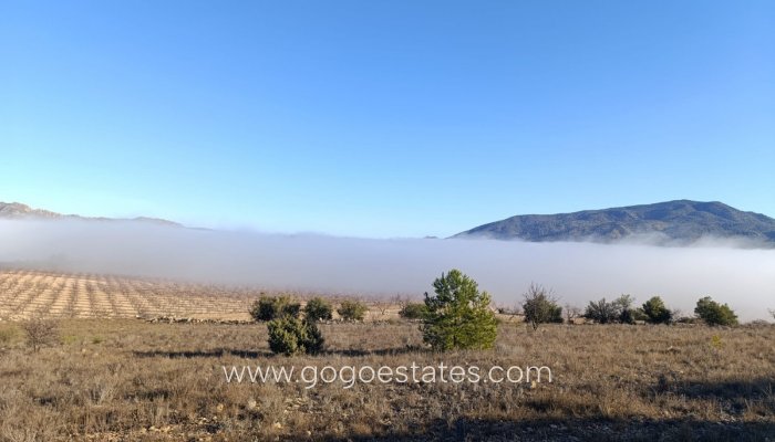 Te koop - Perceel - Land - Yecla - Yecla Centro