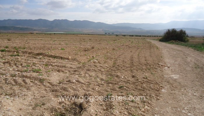 Te koop - Perceel - Land - Yecla - Yecla Centro