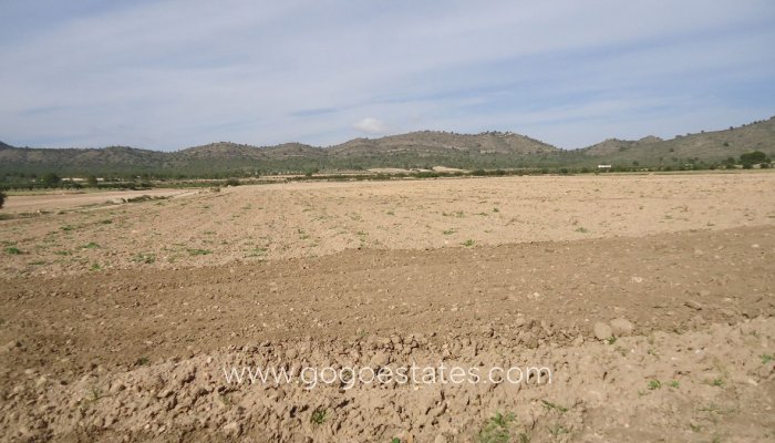 Te koop - Perceel - Land - Yecla - Yecla Centro