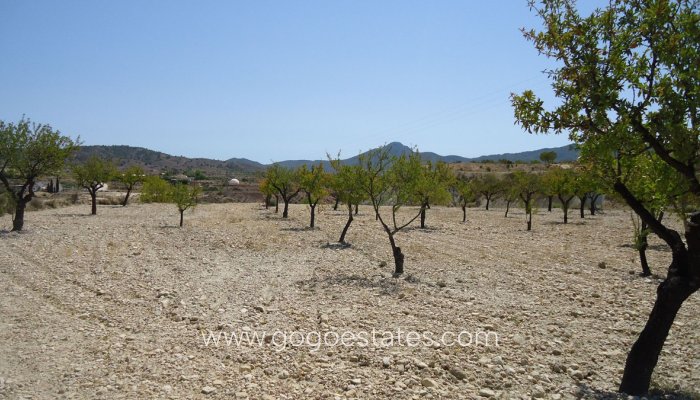 Te koop - Perceel - Land - Murcia - Abanilla Centro