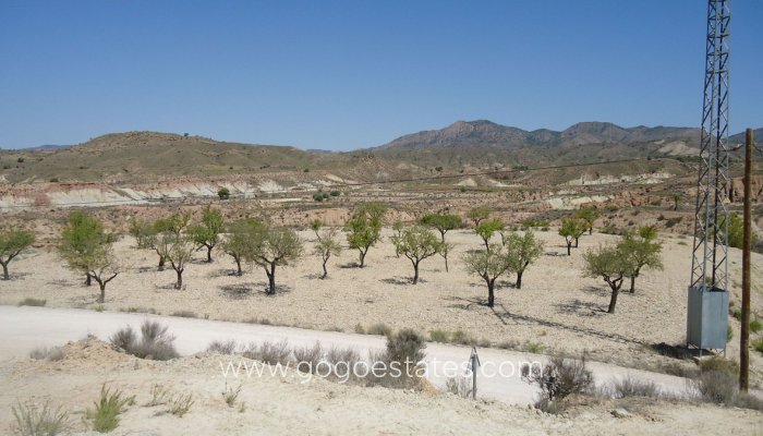 Te koop - Perceel - Land - Murcia - Abanilla Centro