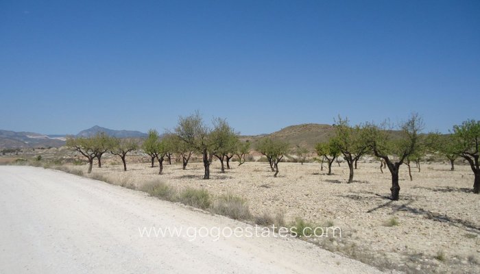 Te koop - Perceel - Land - Murcia - Abanilla Centro