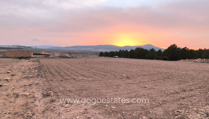 Te koop - Perceel - Land - Yecla - Yecla Centro