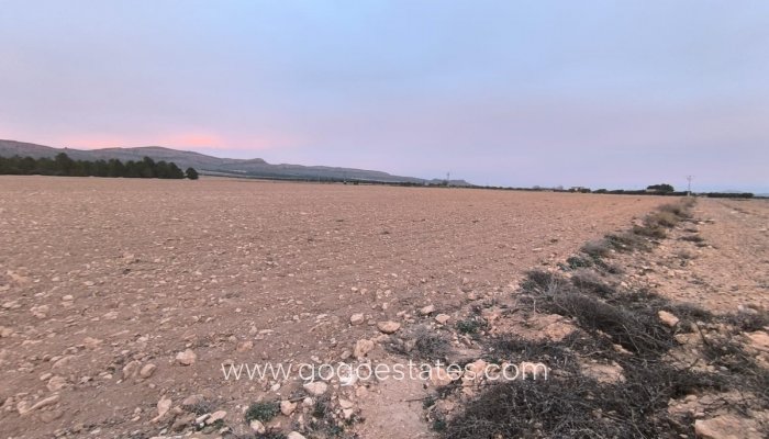 Te koop - Perceel - Land - Yecla - Yecla Centro