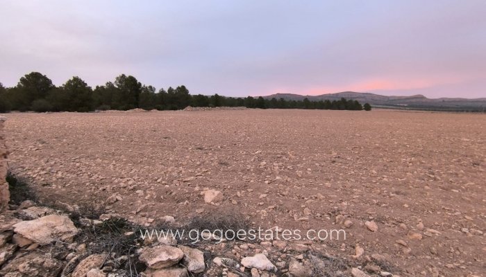 Te koop - Perceel - Land - Yecla - Yecla Centro