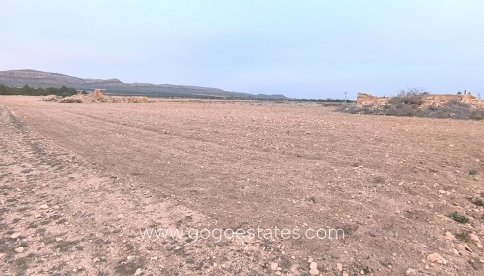 Te koop - Perceel - Land - Yecla - Yecla Centro