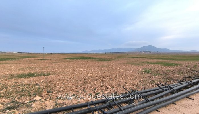 Te koop - Perceel - Land - Yecla - Yecla Centro