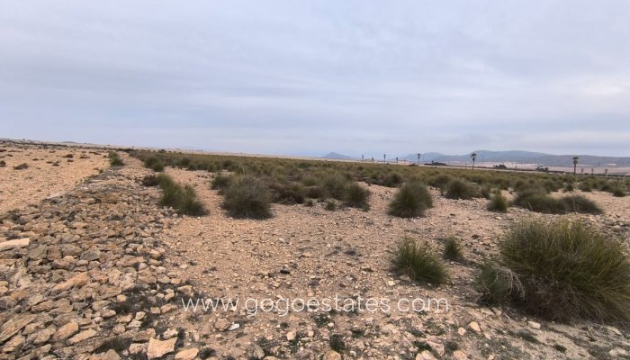 Te koop - Perceel - Land - Yecla - Yecla Centro