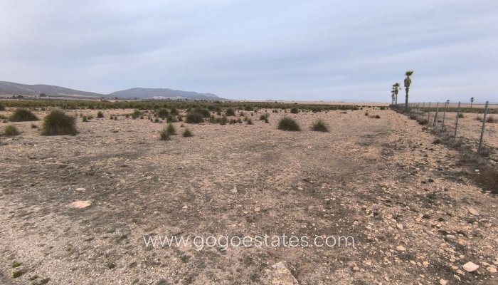 Te koop - Perceel - Land - Yecla - Yecla Centro