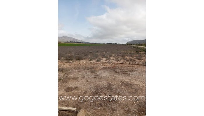 Te koop - Huis - Vrijstaande Villa - Yecla - Yecla Centro