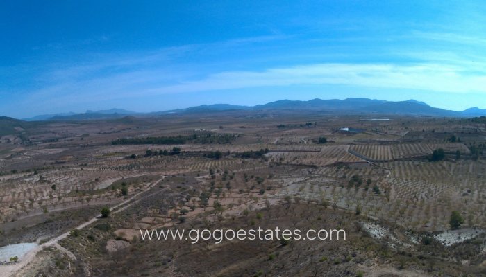 Revente - Terrain - Terrain - Yecla - Yecla Centro