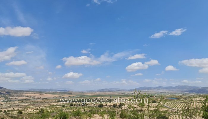 Revente - Terrain - Terrain - Yecla - Yecla Centro