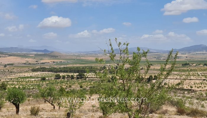 Revente - Terrain - Terrain - Yecla - Yecla Centro