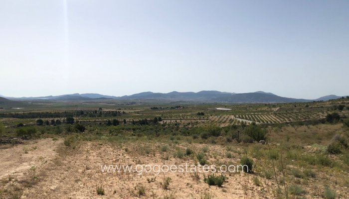 Revente - Terrain - Terrain - Yecla - Yecla Centro