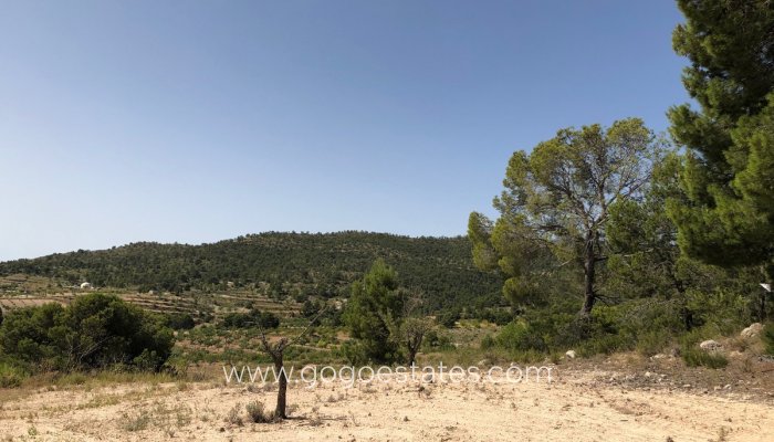 Revente - Terrain - Terrain - Yecla - Yecla Centro