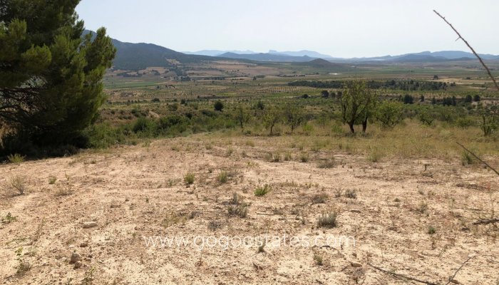 Revente - Terrain - Terrain - Yecla - Yecla Centro